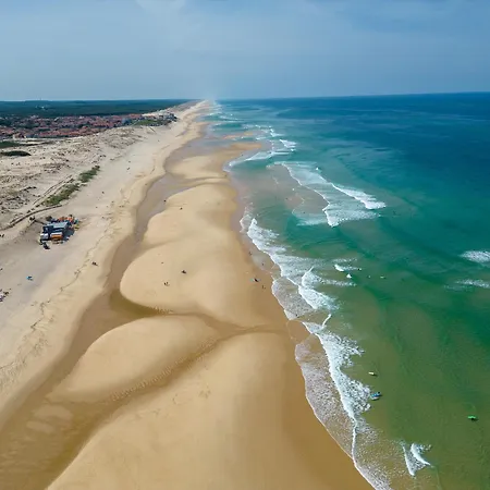 Cosy Entre Et Dunes, 4 Pers. - Proche Plages, Centre, Activites - Menage Inclus - Fr-1-319-534