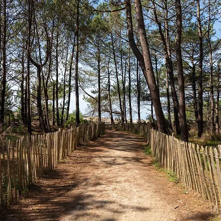Cosy Entre Et Dunes, 4 Pers. - Proche Plages, Centre, Activites - Menage Inclus - Fr-1-319-534 *