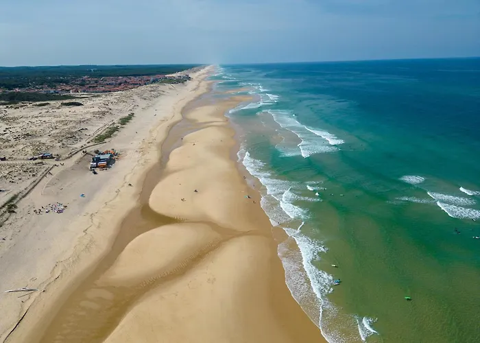 Cosy Entre Et Dunes, 4 Pers. - Proche Plages, Centre, Activites - Menage Inclus - Fr-1-319-534