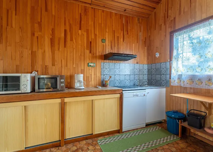 Vakantiehuis Cosy Entre Et Dunes, 4 Pers. - Proche Plages, Centre, Activites - Menage Inclus - Fr-1-319-534 Sanguinet